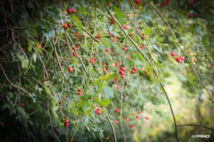 Autumn_started Autumn_started
