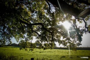 Autumn_started Autumn_started