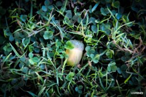 Autumn_started Autumn_started